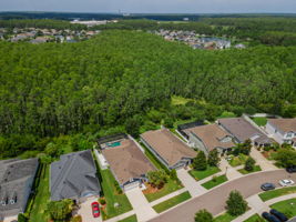 Aerial (6)