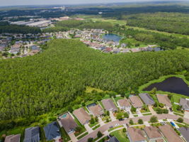 Aerial (9)