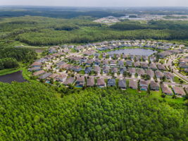 Aerial (12)