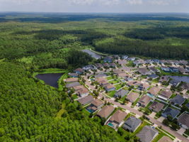 Aerial (14)