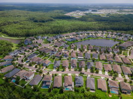 Aerial (17)