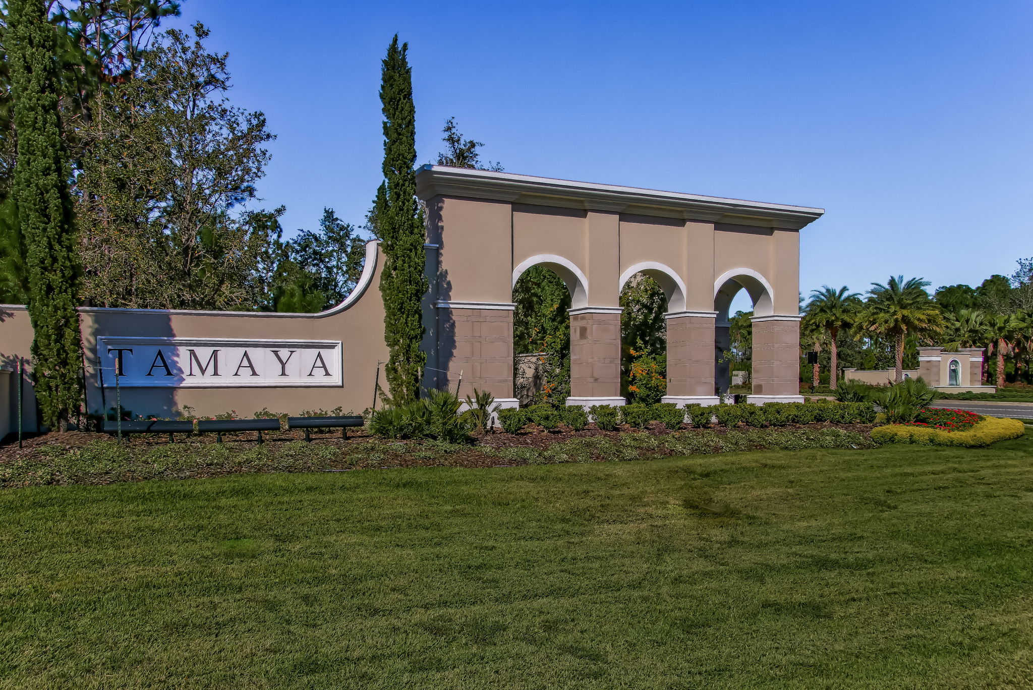 Tamaya