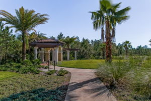 Tamaya