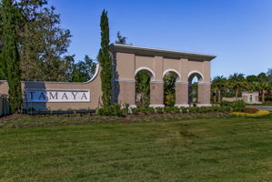Tamaya