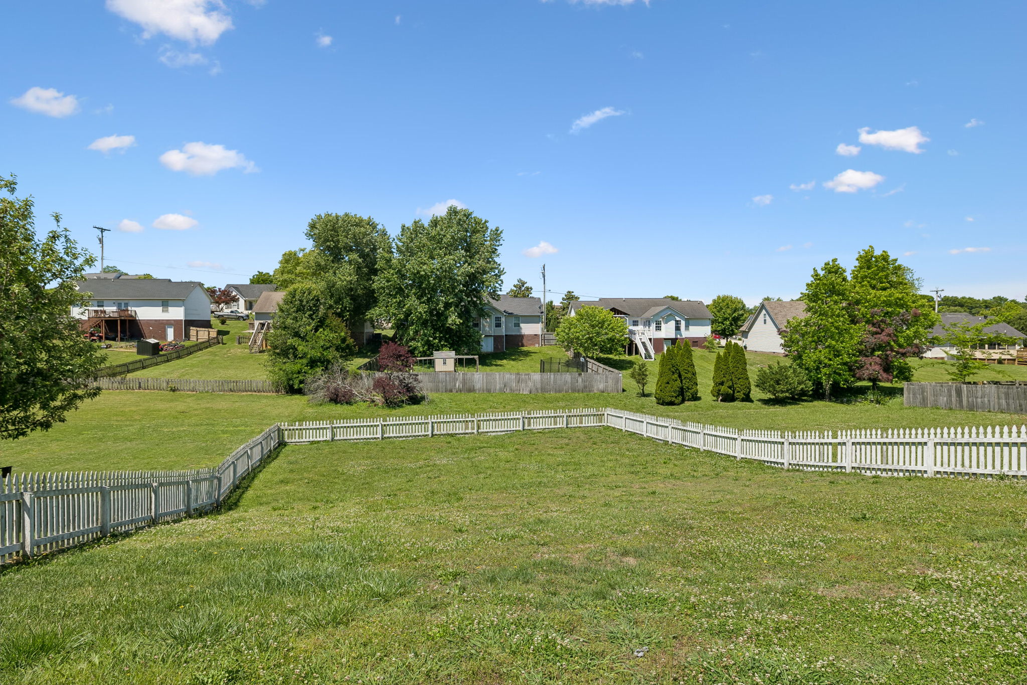  Photo 42
