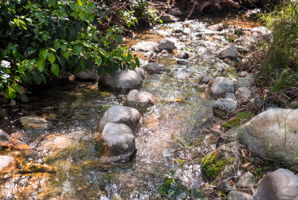  Photo 112