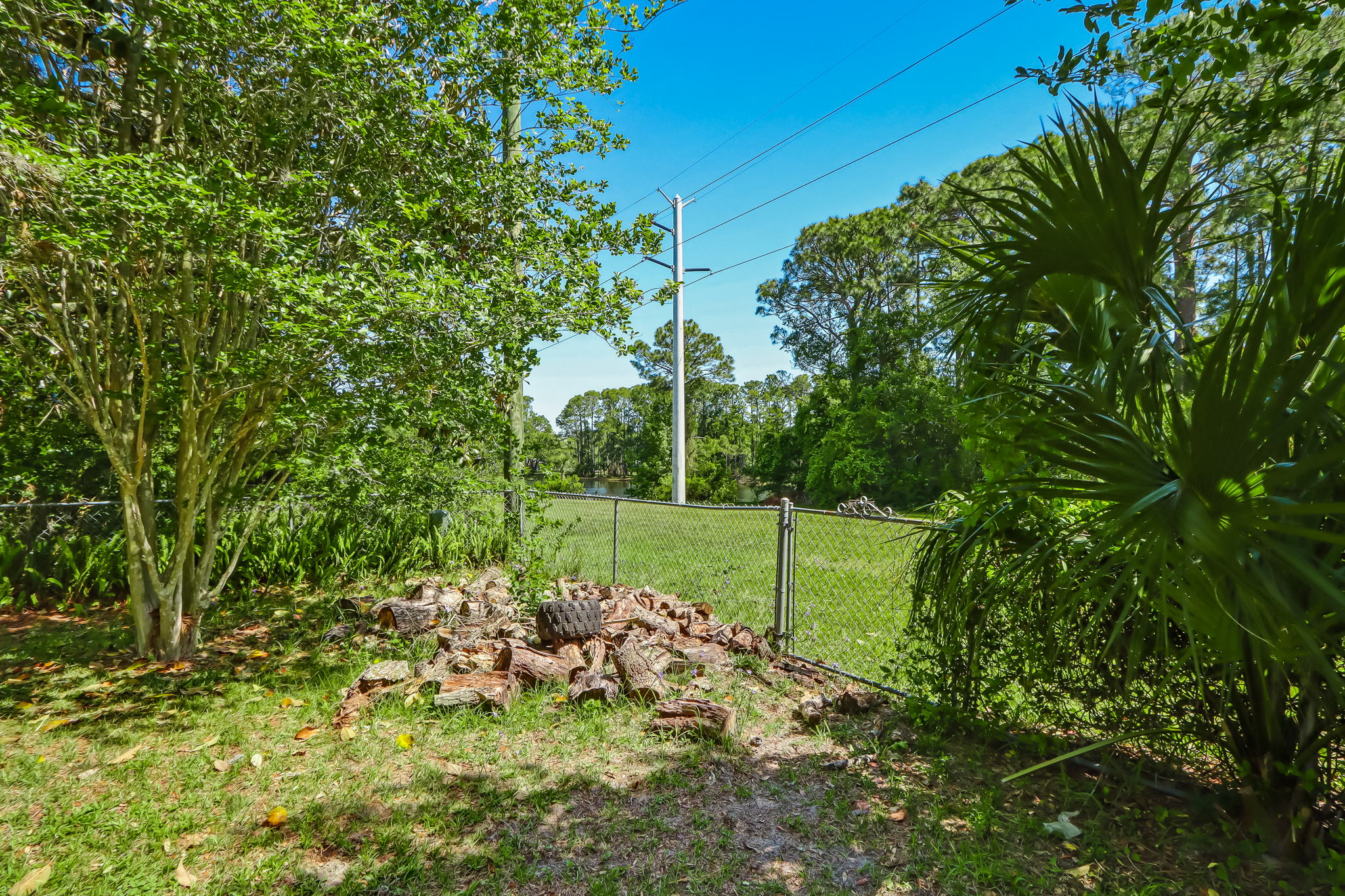 Backyard