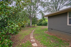 Side Yard