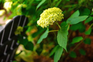  Photo 45