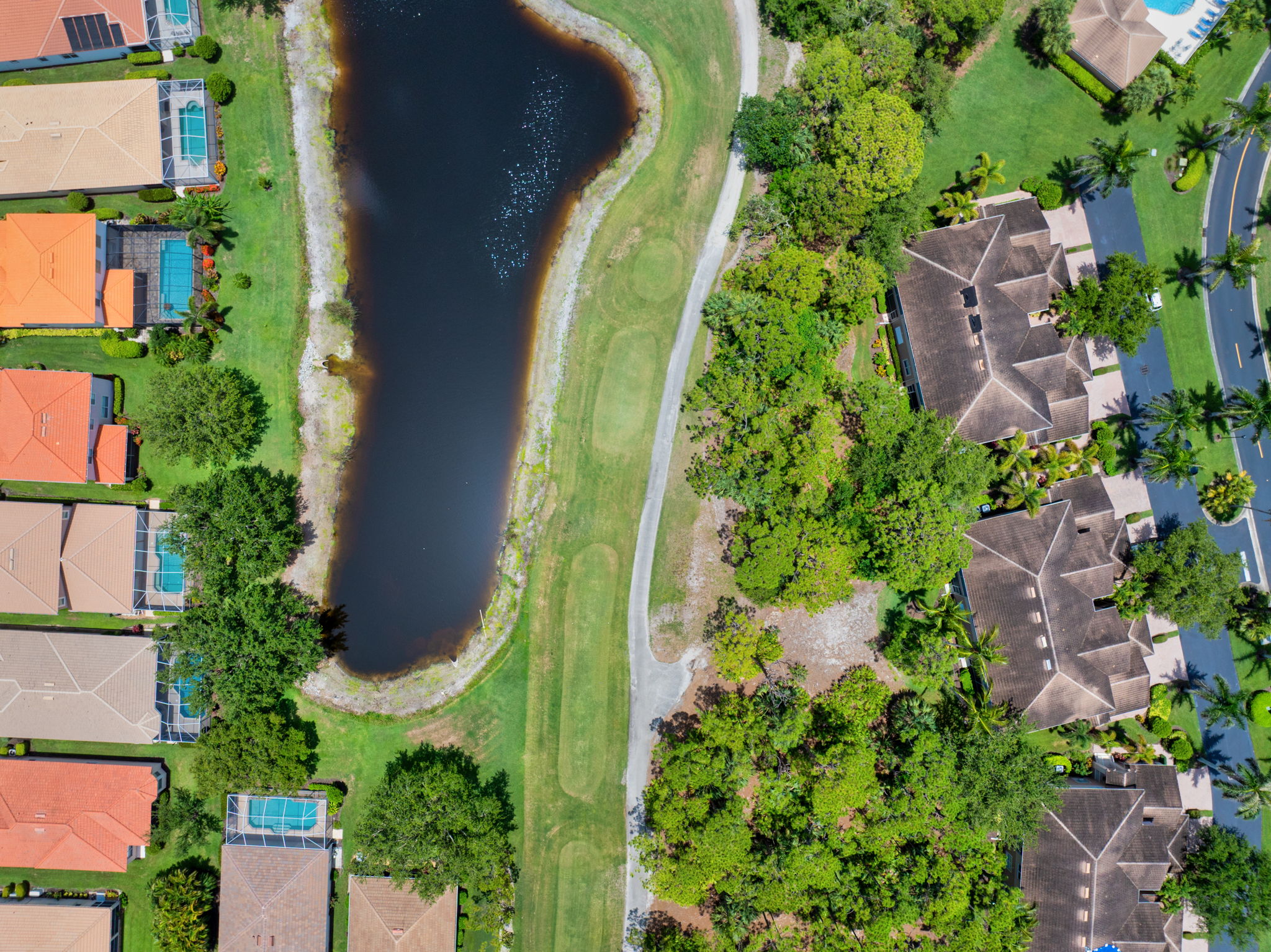 Aerial-6