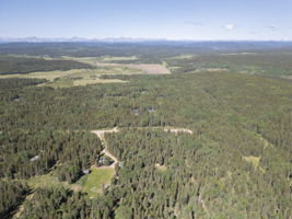  Photo 47