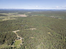  Photo 48