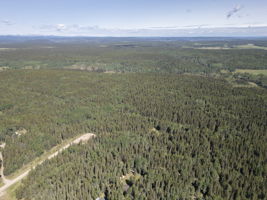  Photo 49