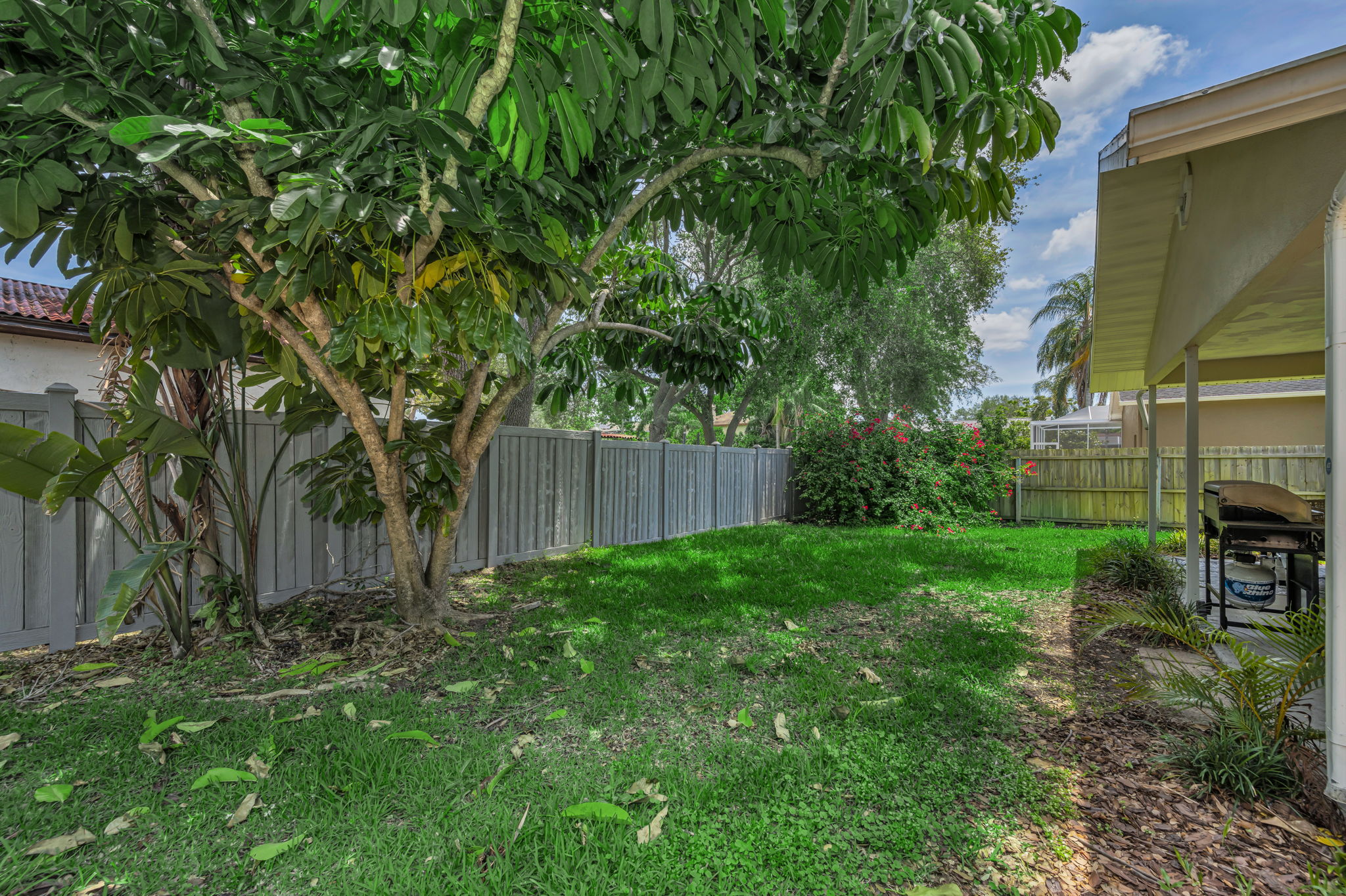 Backyard 2