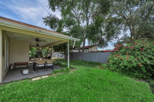 Backyard 4