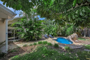 Backyard 5