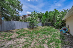 Backyard 1