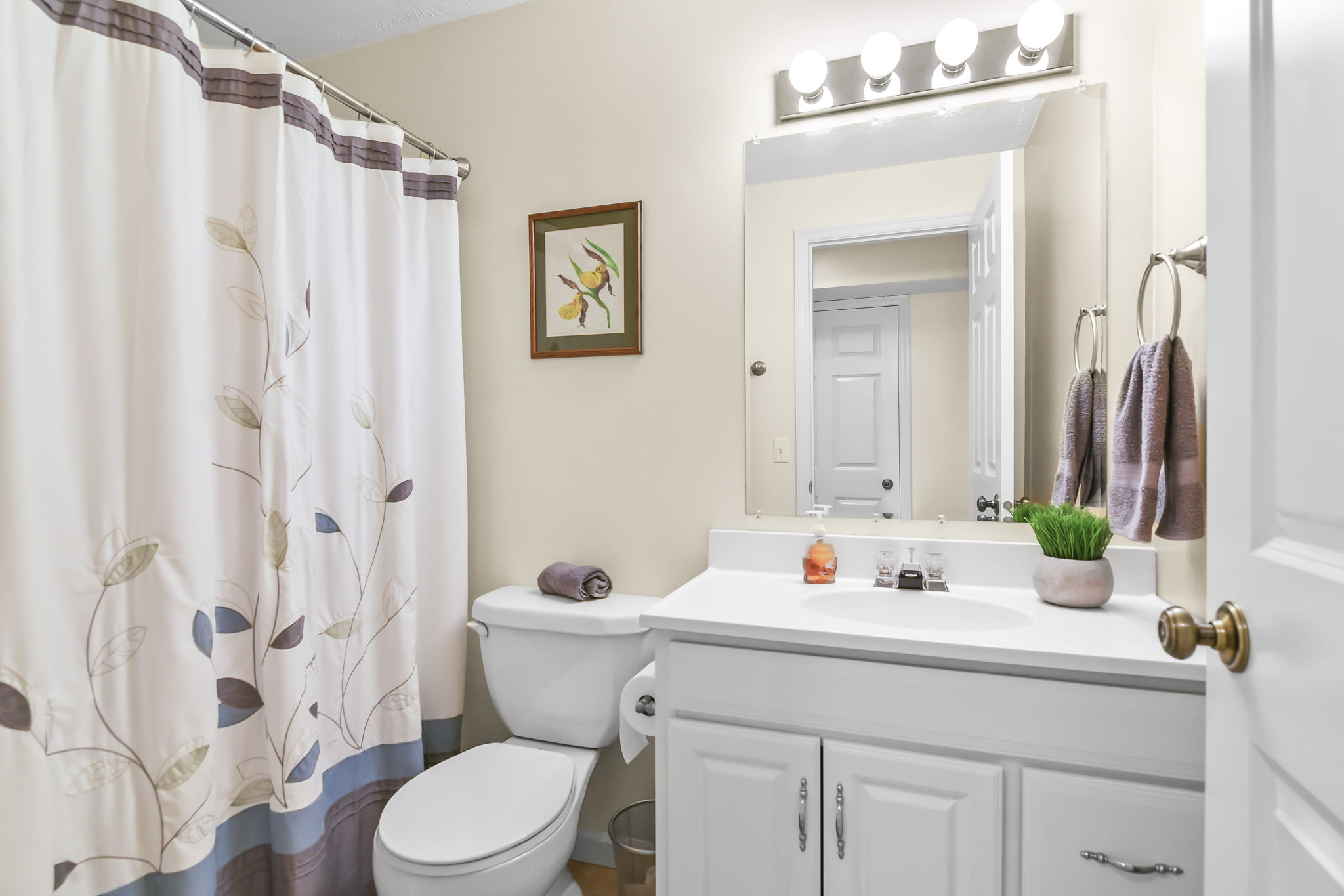 Lower Level - Bathroom