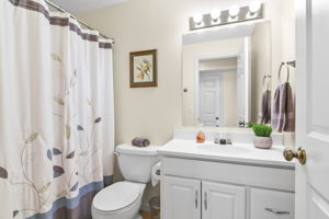 Lower Level - Bathroom