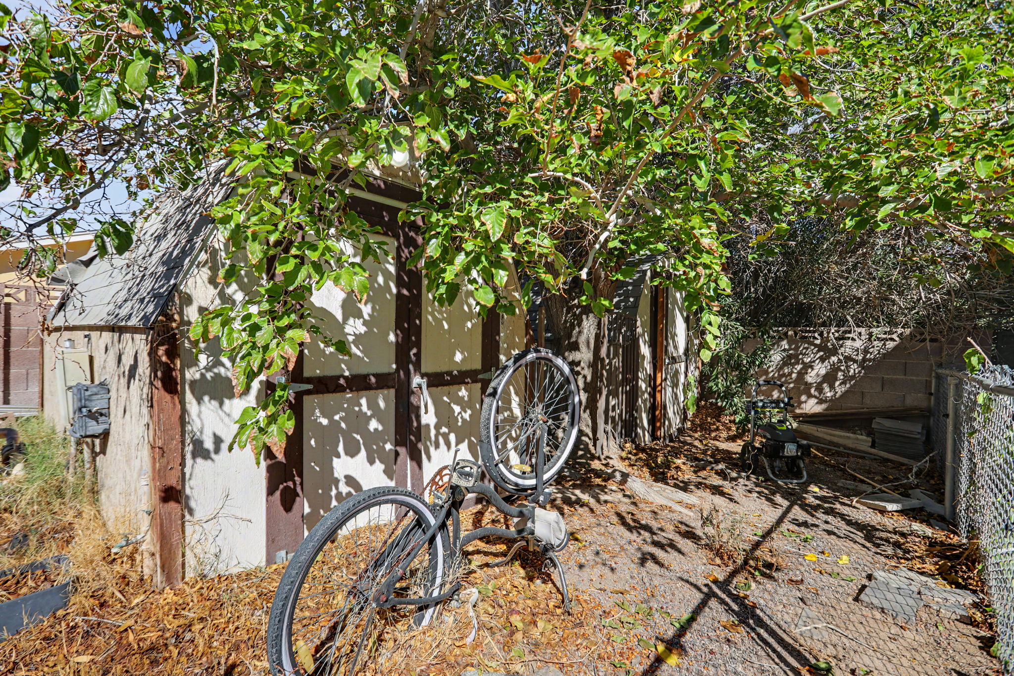  Photo 43