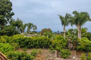  Photo 39