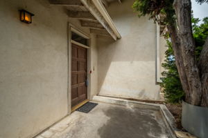  Photo 50