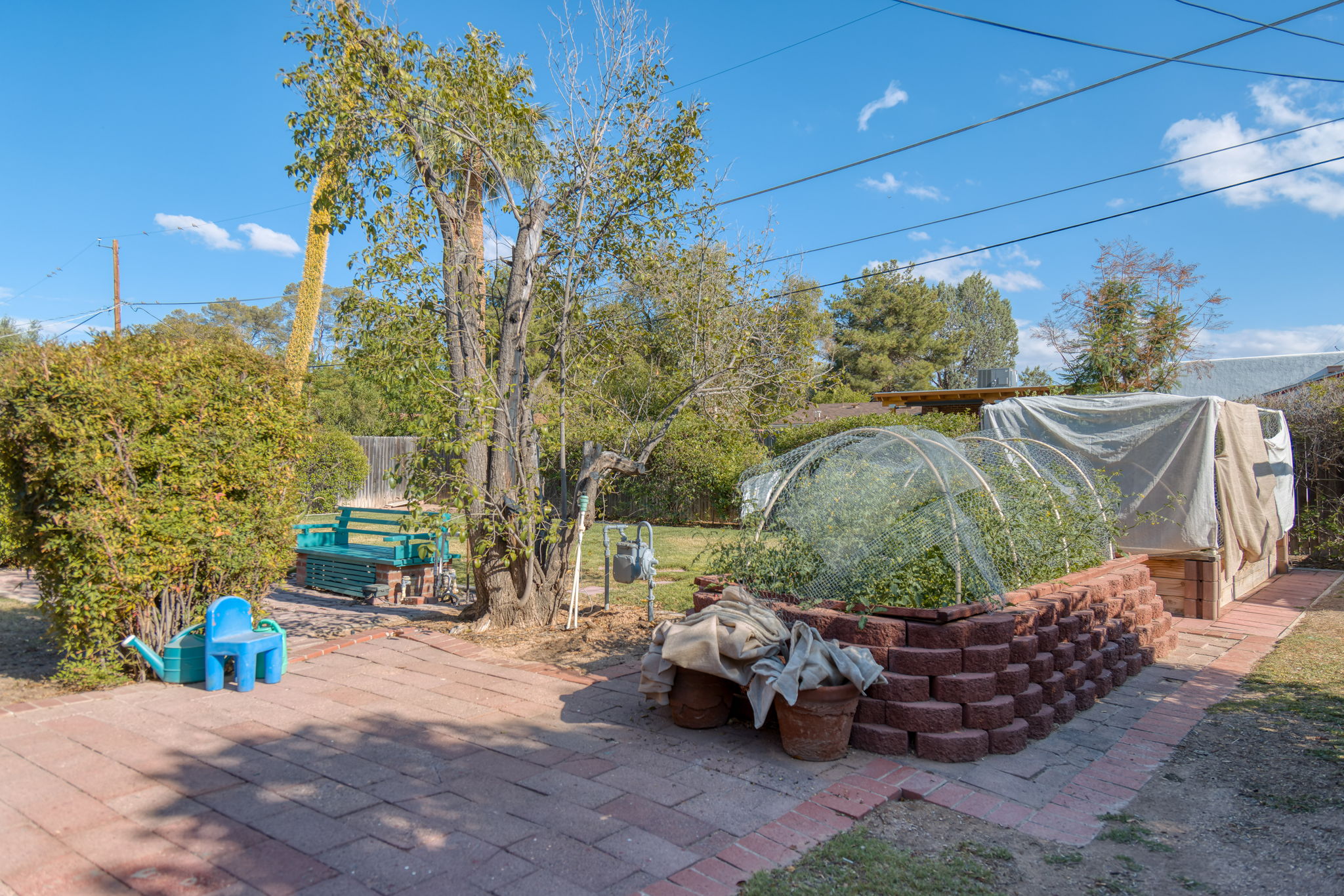 Raised Gardens