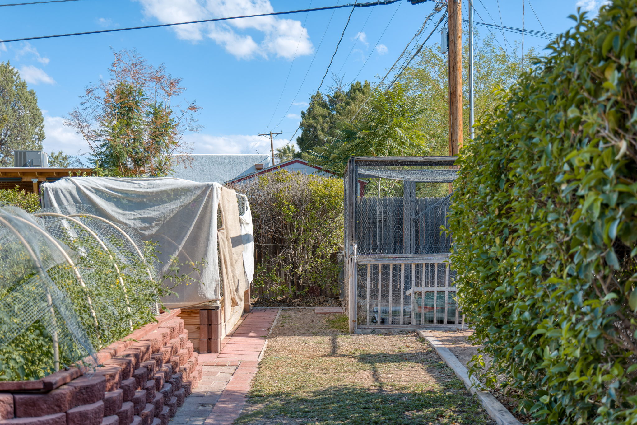 Raised Gardens