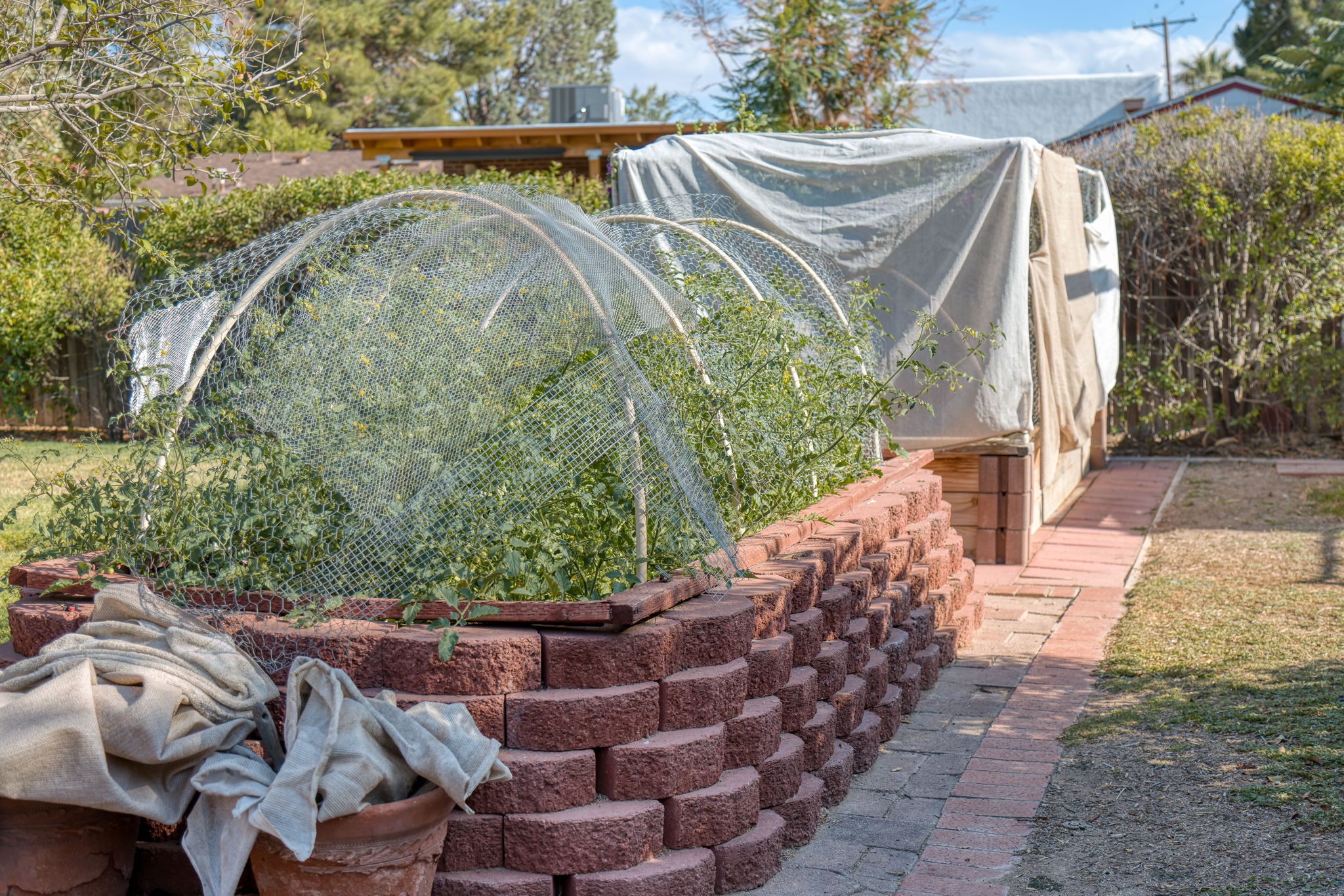 Raised Beds