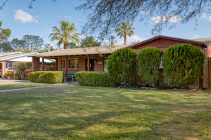 Front Yard