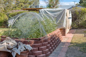 Raised Beds