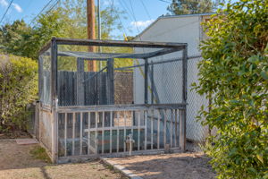 Tortise house or Chicken Coop