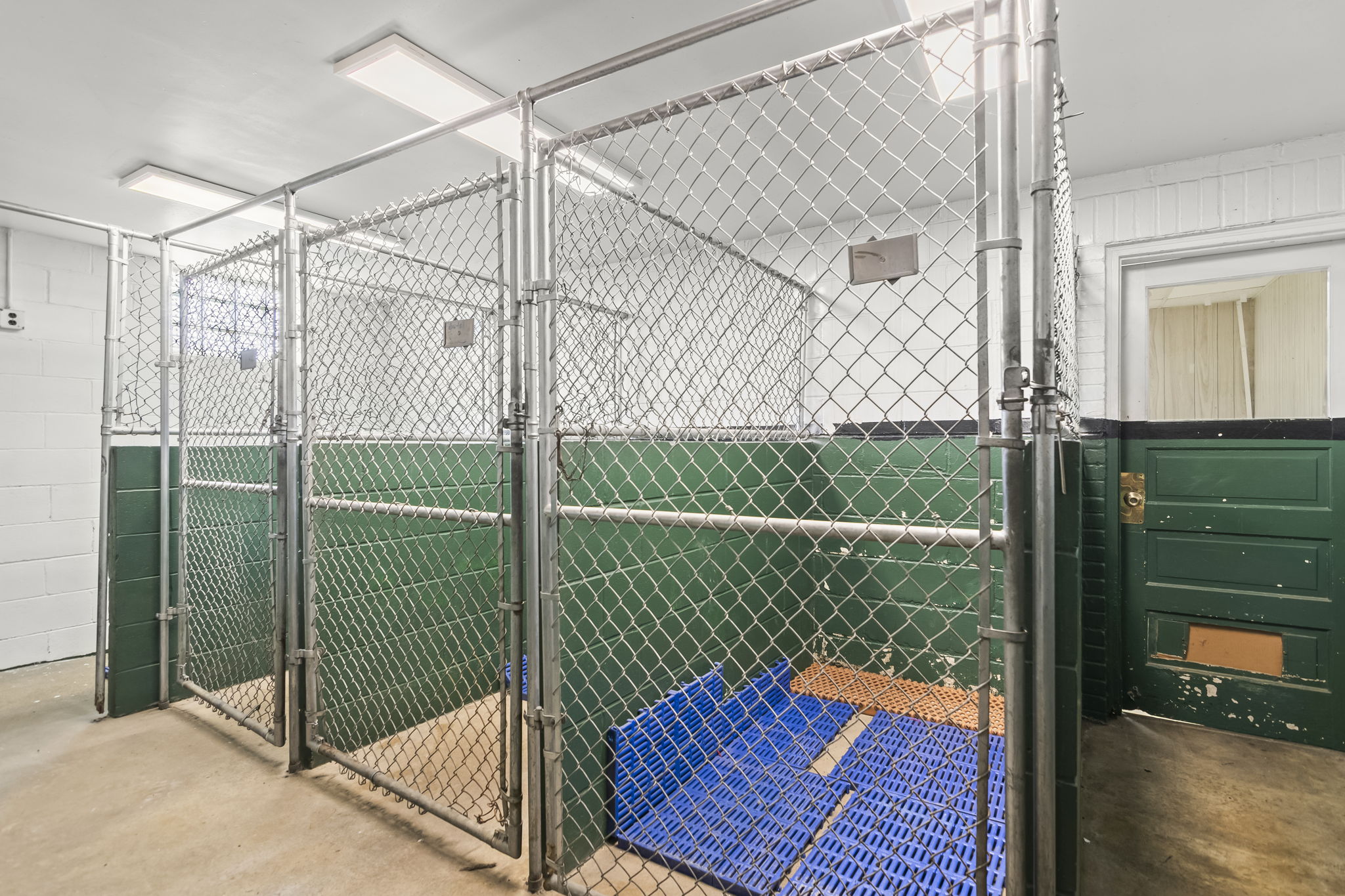 Kennel Runs