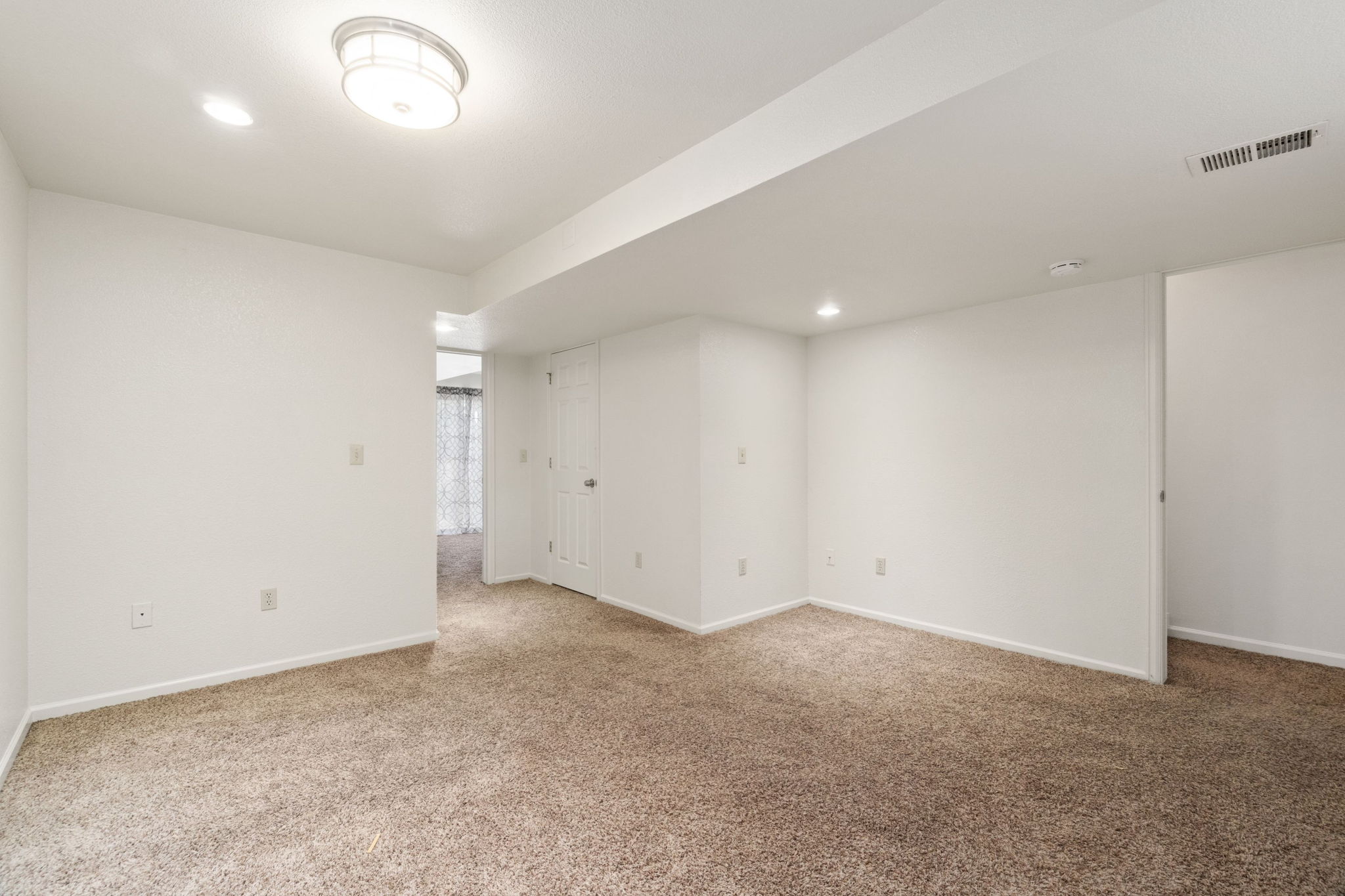 Finished Basment Living/Flex Space