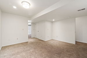 Finished Basment Living/Flex Space