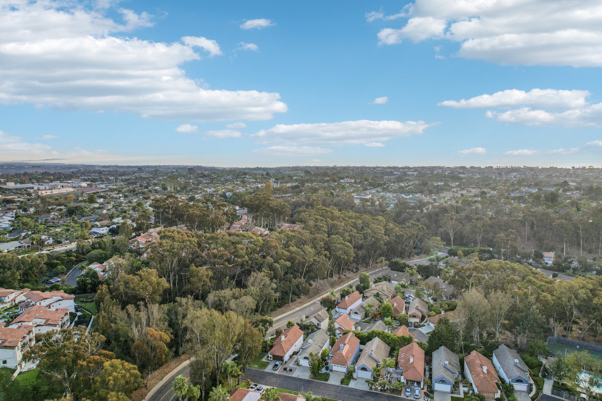 Forest View Way-S1411-037.jpg