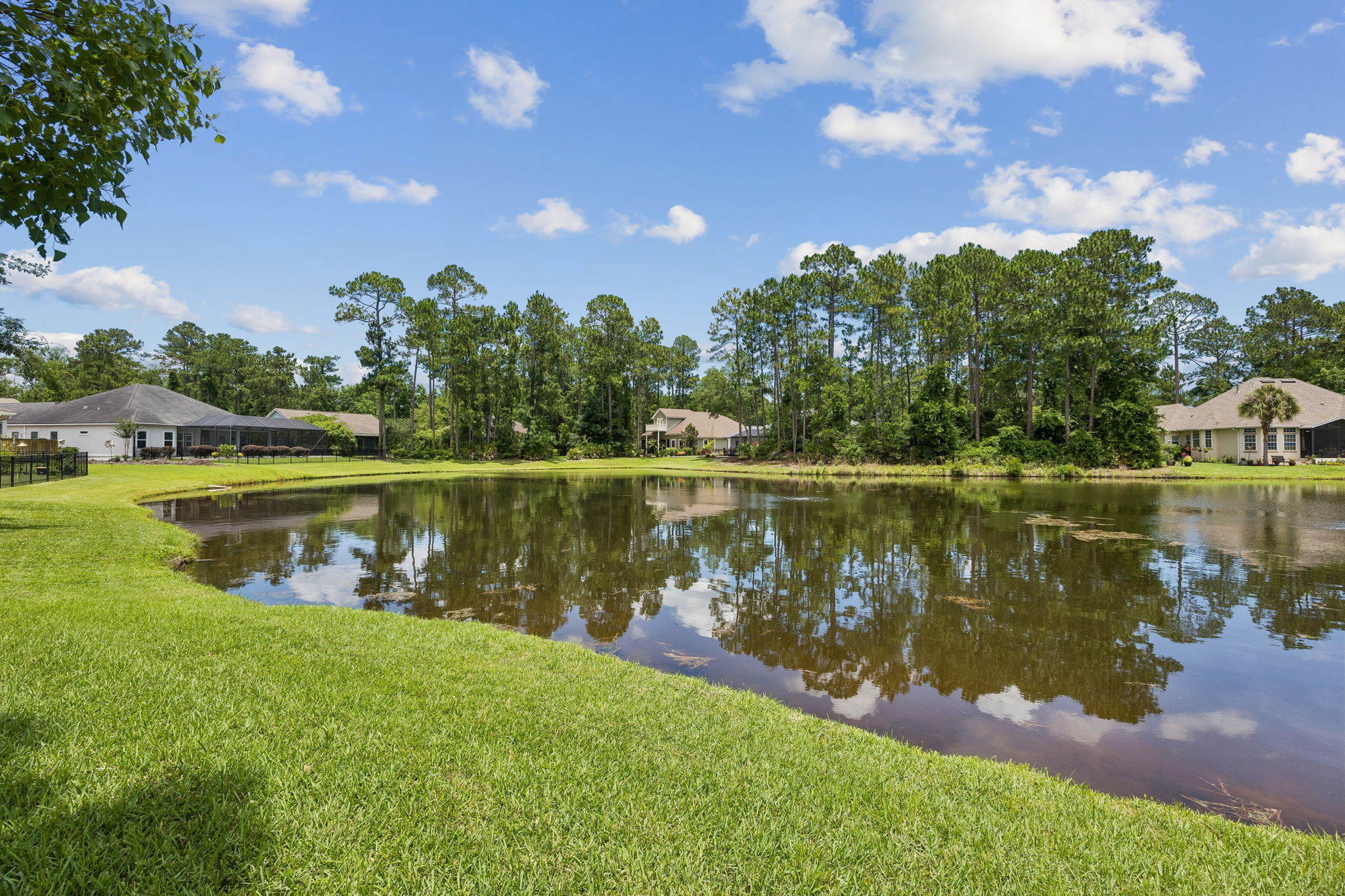 Backyard Water View