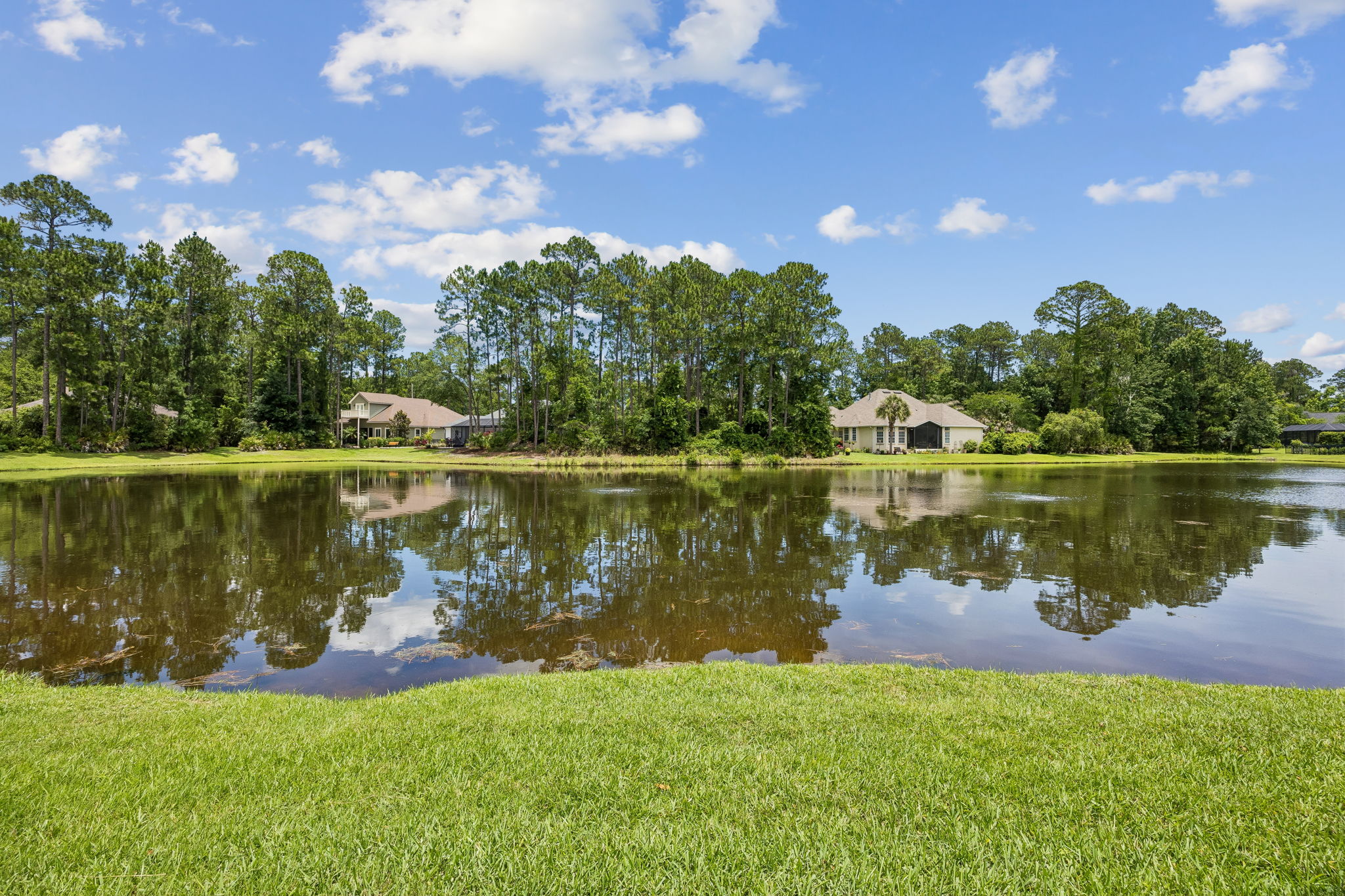 Backyard Water View