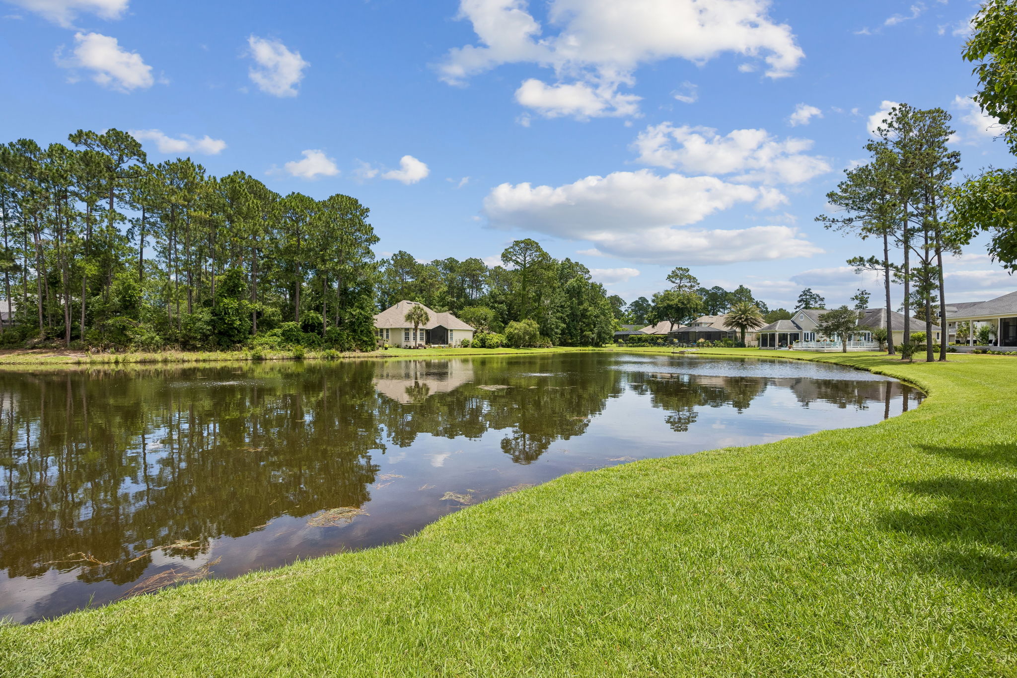 Backyard Water View