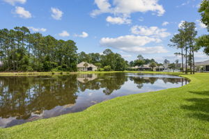 Backyard Water View