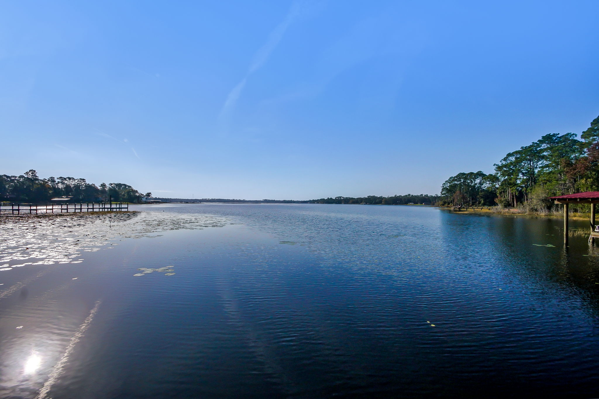 Lake Views