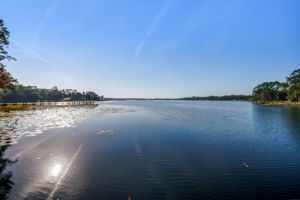 Lake Views