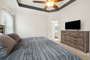 Tray Ceiling in Owners Suite