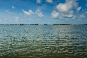Dock View