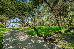 Abercrombie Park 3
