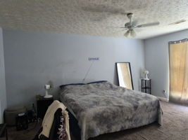  Photo 0