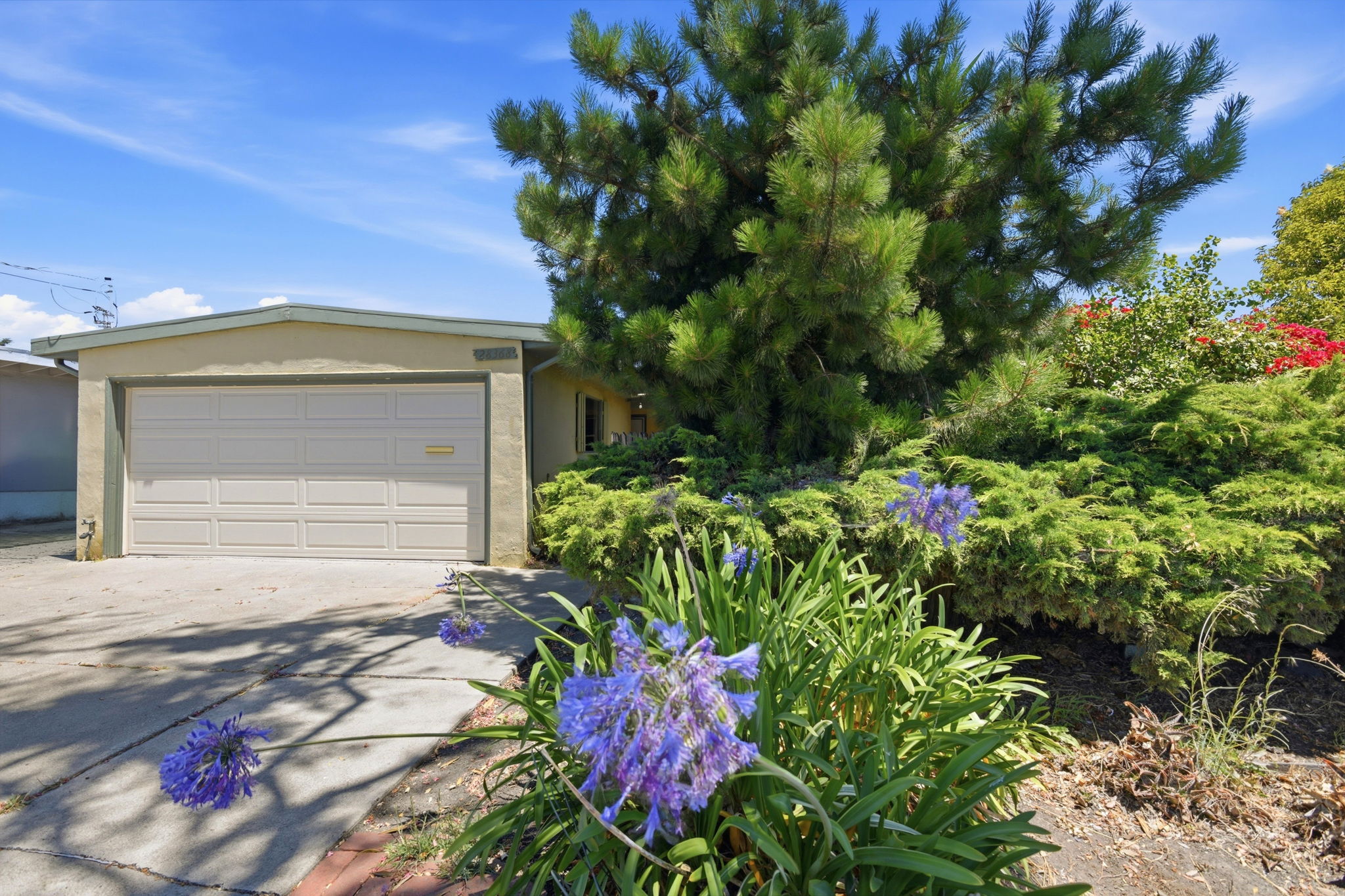 004_F8_28368 Rochelle Ave