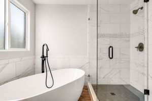 Free Standing Bathtub and Walk-in Shower