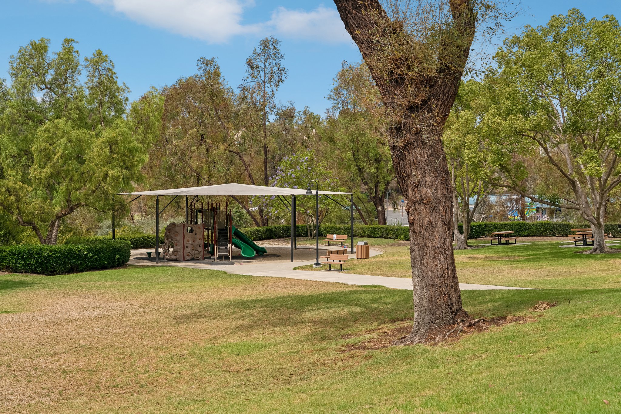 Lakewood Dr-1408-905.jpg