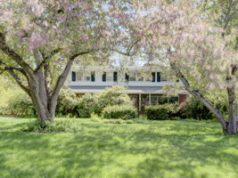  Photo 0